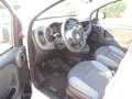 Fiat Panda 1.0 Firefly Hybrid Bianco - thumbnail 5