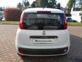 Fiat Panda 1.0 Firefly Hybrid Bianco - thumbnail 4