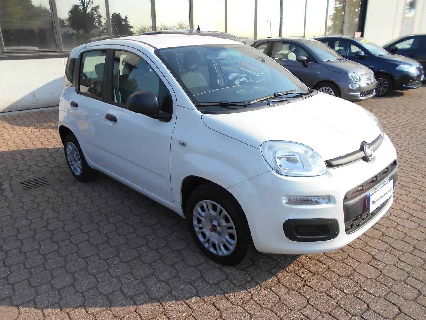 Fiat Panda 1.0 Firefly Hybrid Bianco - 2