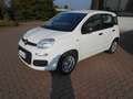Fiat Panda 1.0 Firefly Hybrid Bianco - thumbnail 3