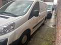 Citroen Jumpy Utilitaire frigorifique Bianco - thumbnail 6