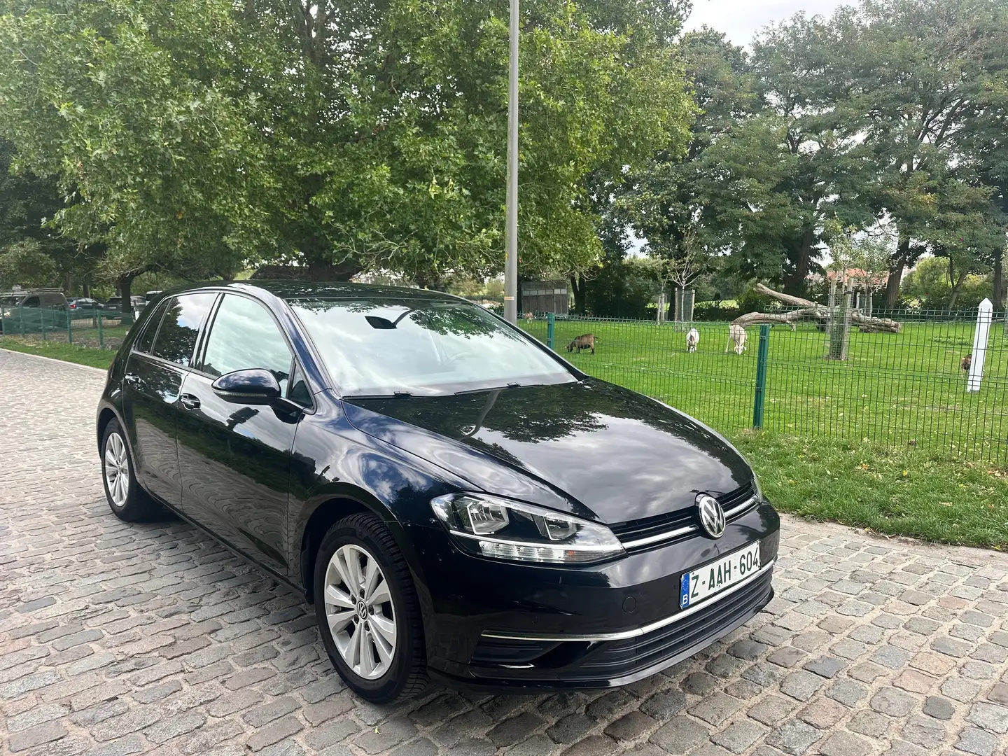 Volkswagen Golf Golf 1.0 TSI  DSG7 - 1