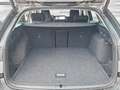 Skoda Octavia Kombi 2,0 TDI Selection DSG Grau - thumbnail 9