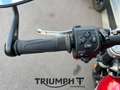 Triumph Speed Twin SPEED TWIN 1200 Rood - thumbnail 7