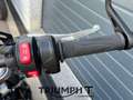 Triumph Speed Twin SPEED TWIN 1200 Rood - thumbnail 8