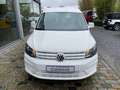 Volkswagen Caddy 2.0 tdi   11.777 euro + BTW Weiß - thumbnail 2