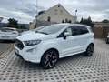 Ford EcoSport 1.0 EcoBoost ST-LINE, B&O, beh. WSS Weiß - thumbnail 3