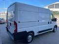 Peugeot Boxer premium prezzo più iva Bianco - thumbnail 6