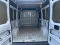 Peugeot Boxer premium prezzo più iva Bianco - thumbnail 13