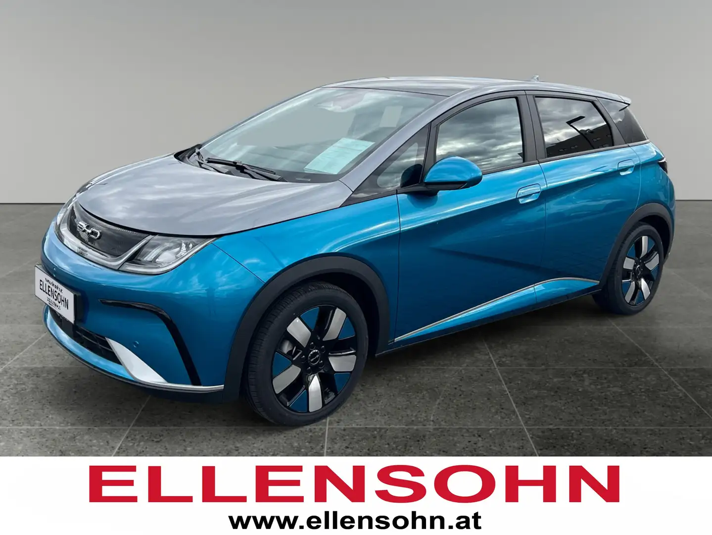 BYD Dolphin Design Blau - 1