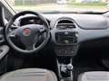 Fiat Punto Evo Punto Evo 1.2 5 porte Dynamic - thumbnail 5