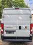 Fiat Ducato Grossr.-Kasten 35 130 L4H2 RS: 4035 mm Weiß - thumbnail 7