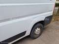 Fiat Ducato Grossr.-Kasten 35 130 L4H2 RS: 4035 mm Weiß - thumbnail 11