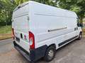 Fiat Ducato Grossr.-Kasten 35 130 L4H2 RS: 4035 mm Weiß - thumbnail 3