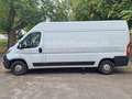 Fiat Ducato Grossr.-Kasten 35 130 L4H2 RS: 4035 mm Weiß - thumbnail 5