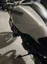 Ducati Monster 696 - SOLO EXPORT Blanc - thumbnail 4