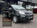 Fiat Panda 1.0 Hybrid MY'25 + City Paket *PDC hi*ZV*Bluetooth Schwarz - thumbnail 1