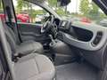 Fiat Panda 1.0 Hybrid MY'25 + City Paket *PDC hi*ZV*Bluetooth Schwarz - thumbnail 8