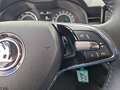 Skoda Kamiq Ambition 1.0 TSI App-Navi PDC Sitzheizung Gris - thumbnail 13