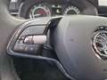 Skoda Kamiq Ambition 1.0 TSI App-Navi PDC Sitzheizung Gris - thumbnail 12