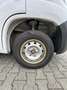Fiat Ducato Ducato L2 - thumbnail 20
