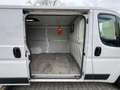 Fiat Ducato Ducato L2 - thumbnail 19