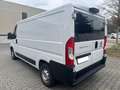 Fiat Ducato Ducato L2 - thumbnail 7