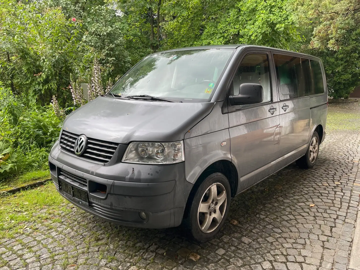 Volkswagen T5 Multivan Pan Americana 2,5 TDI 4motion D-PF Grau - 2