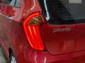 Kia Picanto 1.0 CVVT Comfort Pack 2012 NAP XENON AIRCO CLIMA Rot - thumbnail 4