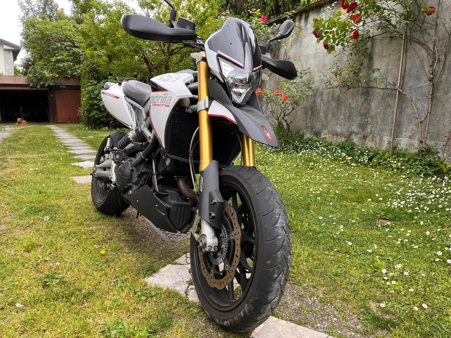 Aprilia Dorsoduro - 2