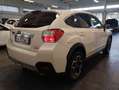 Subaru XV XV 1.6i UNICO-PR - 4X4 - RIDOTTE - VETRI SC. Eu6/b Weiß - thumbnail 6
