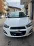 Chevrolet Aveo 1.3d eco LT 95cv 5p Bianco - thumbnail 1