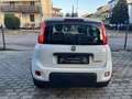 Fiat Panda Panda III 2021 1.0 firefly hybrid s Blanc - thumbnail 5