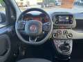 Fiat Panda Panda III 2021 1.0 firefly hybrid s Blanc - thumbnail 9