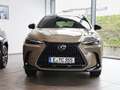 Lexus NX 350h NX350h Overtrail LEDER KLIMA LM-Felgen SERVO ABS E Beige - thumbnail 4