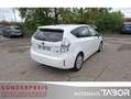Toyota Prius+ + 1.8 VVT-i Autom. 7S LM RFK Navi Klima GRA - thumbnail 3