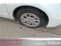 Toyota Prius+ + 1.8 VVT-i Autom. 7S LM RFK Navi Klima GRA - thumbnail 13