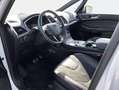 Ford S-Max 2.0 EcoBlue Aut. ST-LINE / AHK / Pano / STHZ Weiß - thumbnail 7