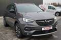 Opel Grandland 1.2 Innovation LED Navi 360° Kamera Сірий - thumbnail 6