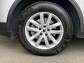 SEAT Tarraco Style 2,0TDI DSG Virtual* ACC* Spur* ab €189,-* Grau - thumbnail 9