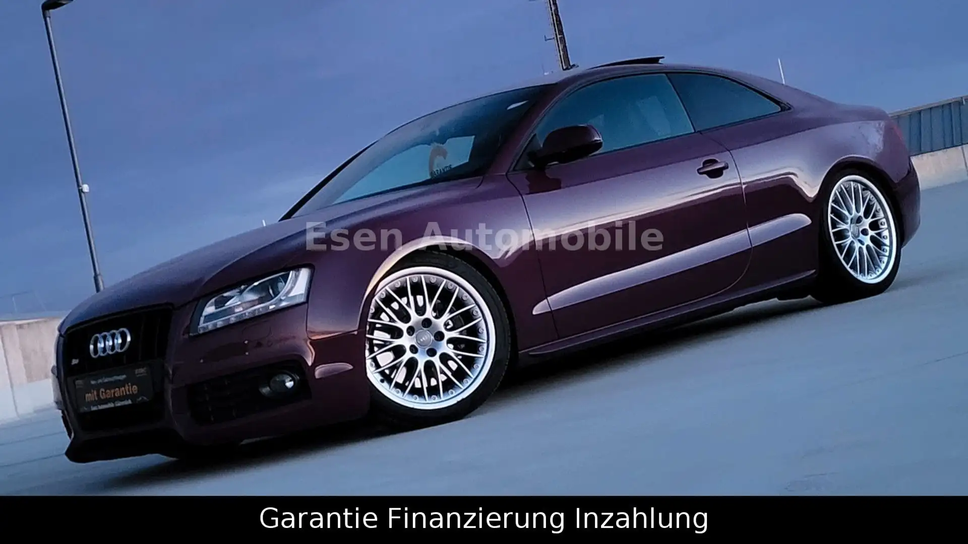 Audi S5 Coupe 4.2 FSI quattro *LIMITIERT* 5 Stück* Violett - 2