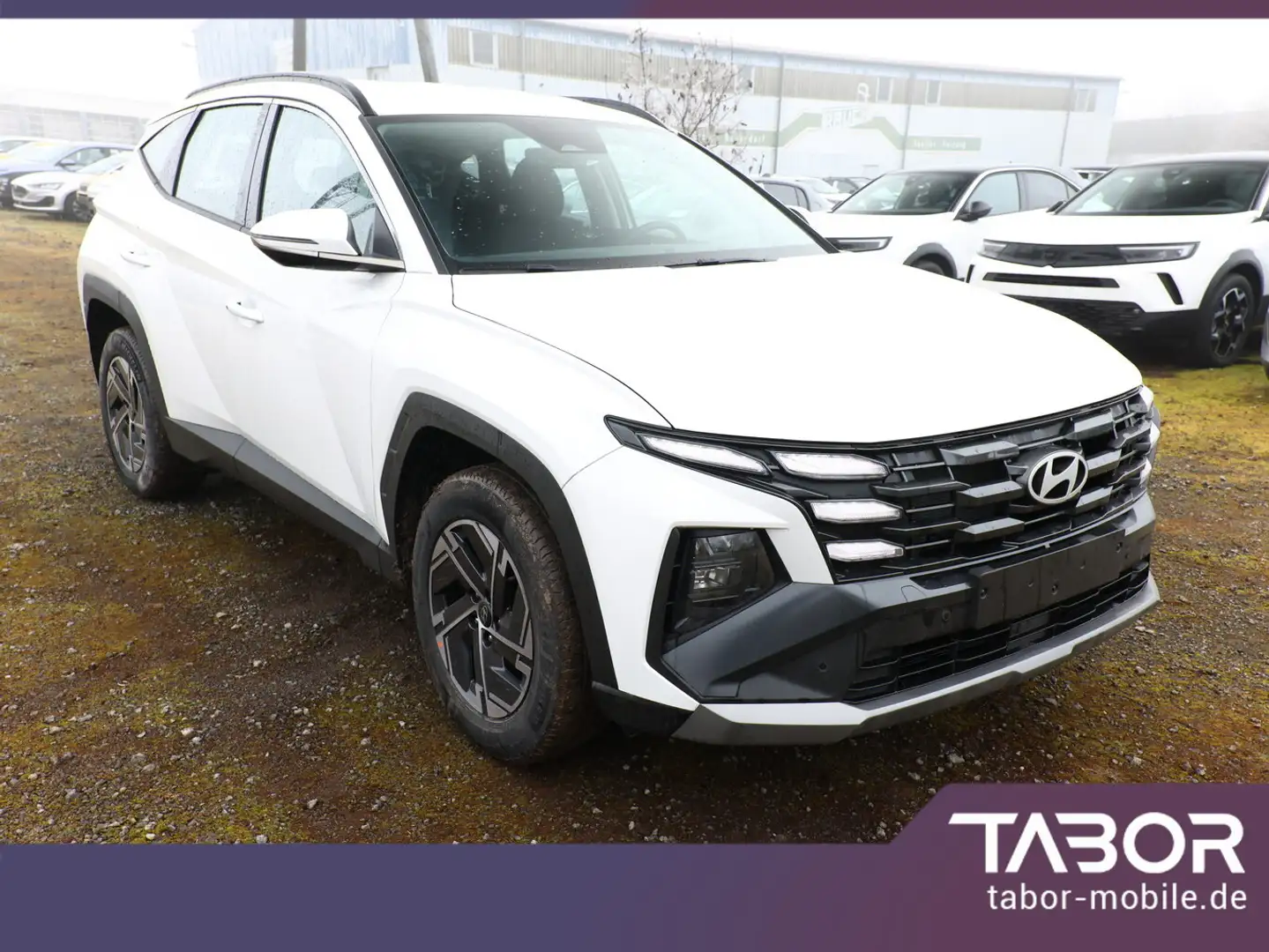 Hyundai TUCSON 1.6 T-GDI 160 Select Facelift Nav SHZ BCW Blanco - 2