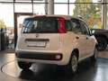 Fiat Panda 1.2 8V Easy CityPaket+ Connect Sitzhzg DAB Weiß - thumbnail 6