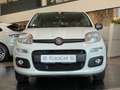 Fiat Panda 1.2 8V Easy CityPaket+ Connect Sitzhzg DAB Weiß - thumbnail 5