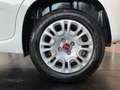 Fiat Panda 1.2 8V Easy CityPaket+ Connect Sitzhzg DAB Weiß - thumbnail 8