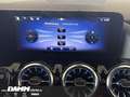 Mercedes-Benz EQA 300 EQA 300 4M Progr./AHK/Pano/60 M Gar.+Flex Bonus Weiß - thumbnail 22