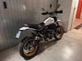 Ducati Scrambler Desert Sled Bianco - thumbnail 3