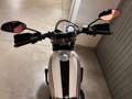 Ducati Scrambler Desert Sled Bianco - thumbnail 10