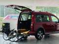 Volkswagen Caddy Alltrack 2.0 TDI Behindertengerecht-Rampe Rot - thumbnail 5