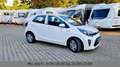 Kia Picanto Edition 7 Sitz/Lenkradheizung Weiß - thumbnail 7